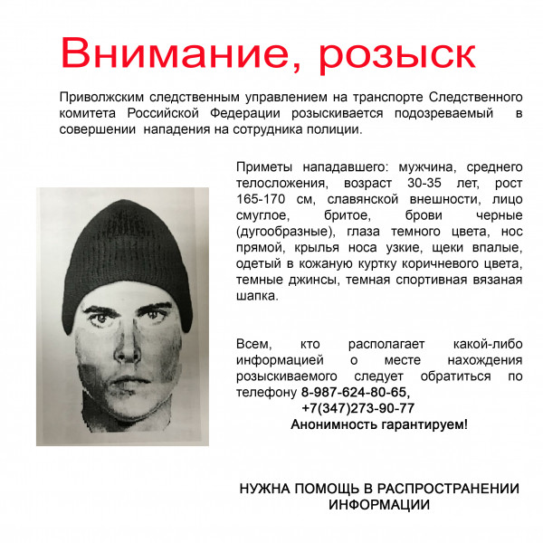 rozysk